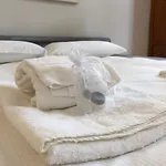 아파트 Feeling